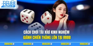 Cách Chơi Tài Xỉu| Kinh Nghiệm Giành Chiến Thắng Lớn Tại RR88